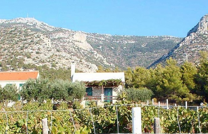 Apartamenti Anic: Vineyard House 