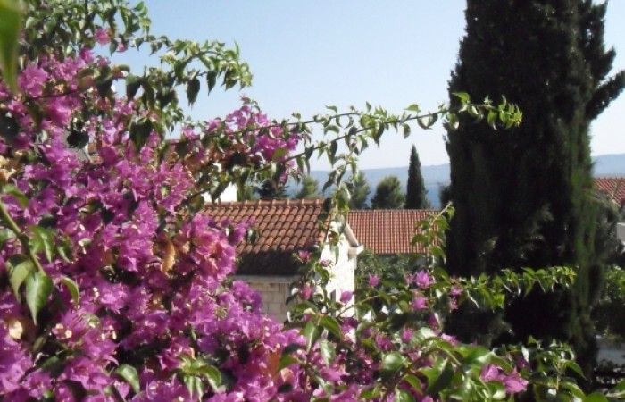 Sokolovi Dvori (SD Haus): Ferienwohnungen und Zimmer 